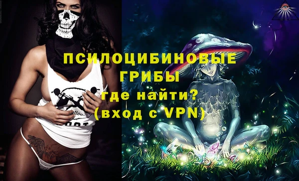 молекула духа Алексеевка