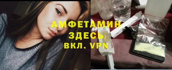 молекула духа Алексеевка
