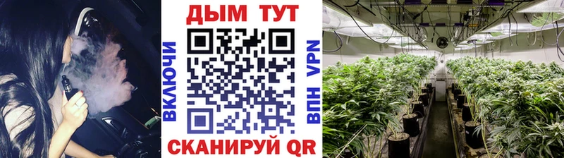 МАРИХУАНА SATIVA & INDICA  Болгар 